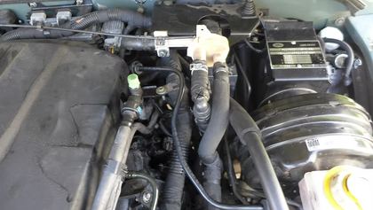 Blick in den Motorraum, das AGR-Ventil liegt verdeckt unter den Wasserschläuchen