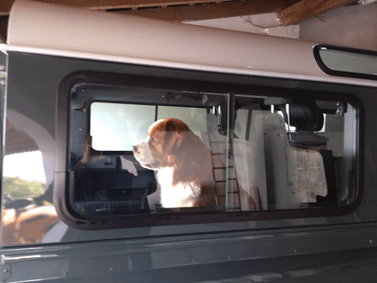 Bea schaut aus dem Seitenfenster des Defenders